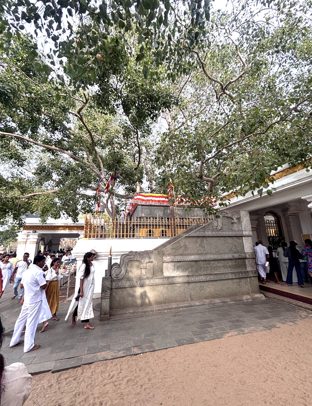 Jaya Sri Maha Bodhi in Sri Lanka